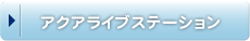�A�N�A���C�u�X�e�[�V����