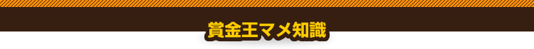 賞金王マメ知識