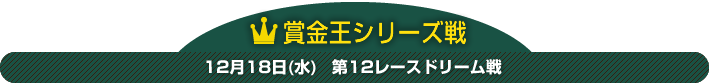 賞金王シリーズ戦 12月18日(水) 第12レースドリーム戦